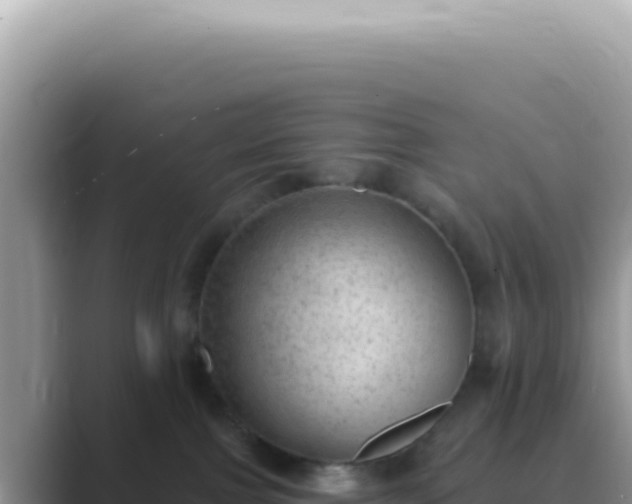 X0000089860091200707051141