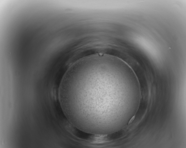 X0000089860093200707051141