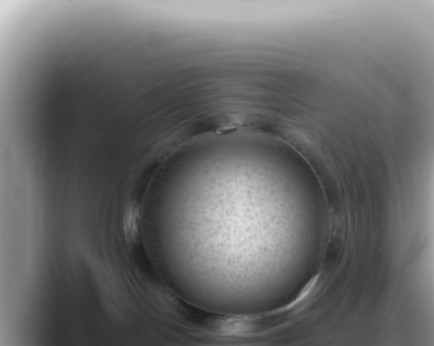 X0000089860094200707051141