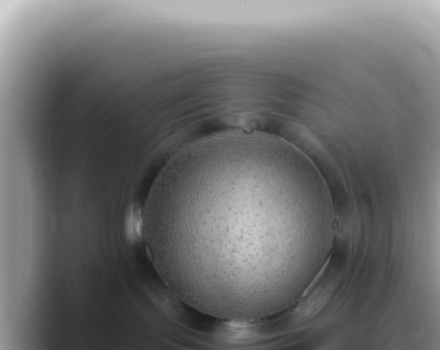 X0000089860095200707051141