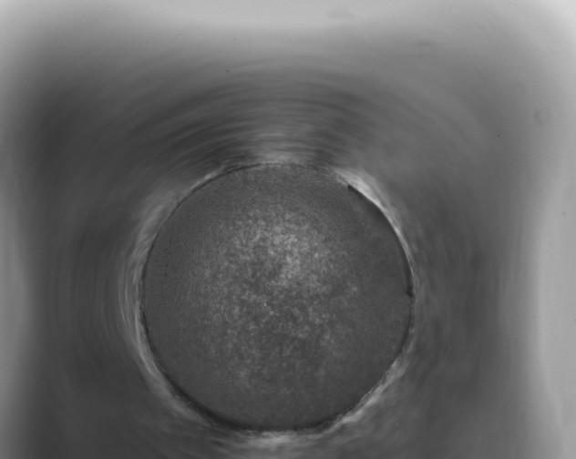 X0000089860097200707051140