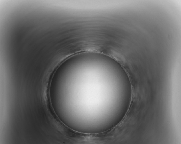 X0000089860098200707051140