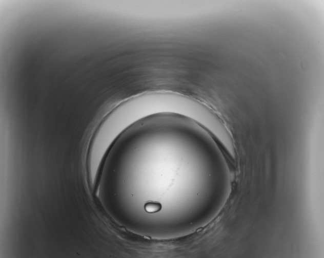 X0000089860099200707051140