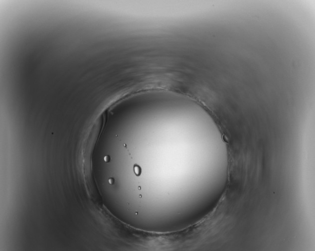 X0000089860100200707051140