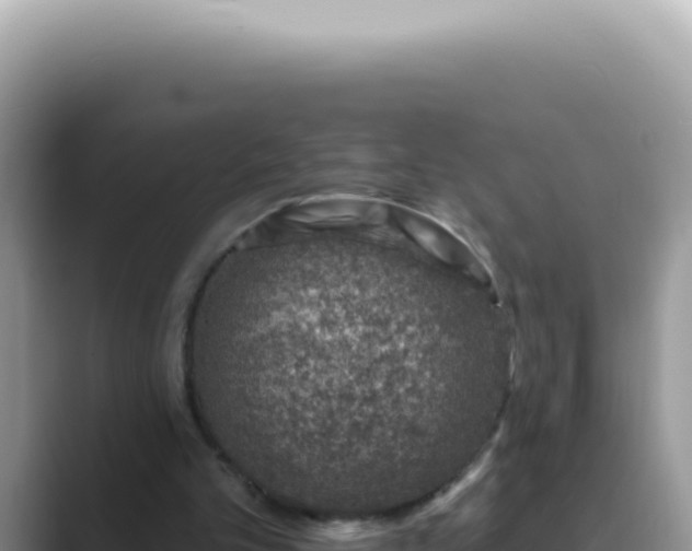 X0000089860101200707051140