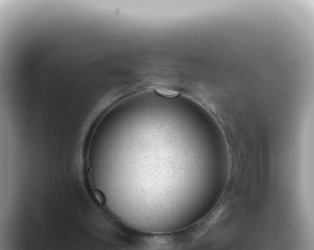 X0000089860102200707051140
