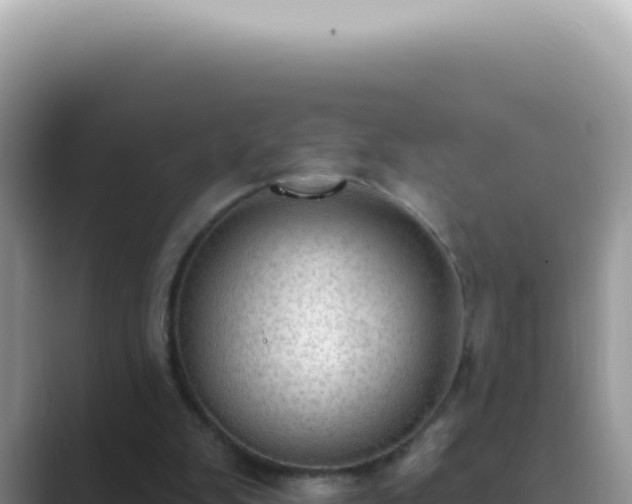 X0000089860103200707051140