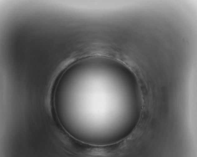 X0000089860104200707051140