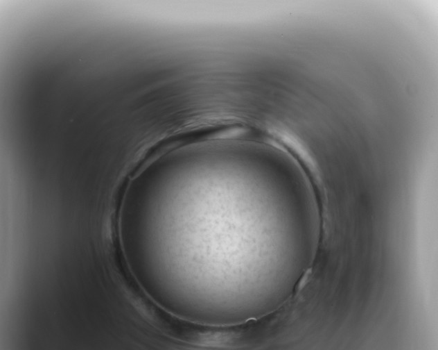 X0000089860105200707051140