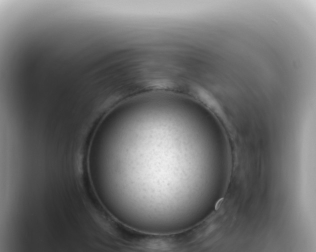 X0000089860106200707051140
