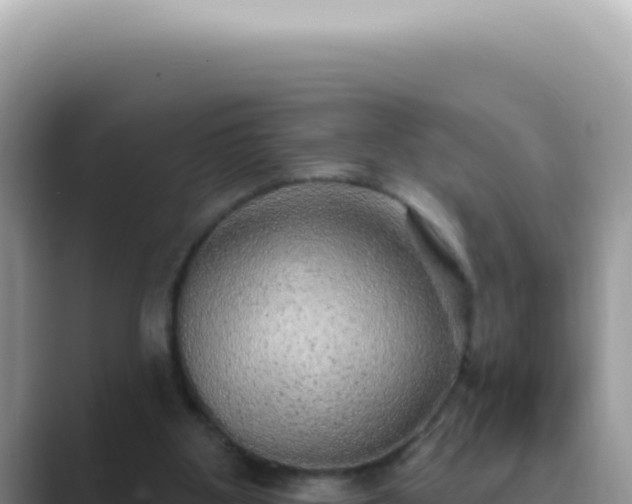 X0000089860107200707051140