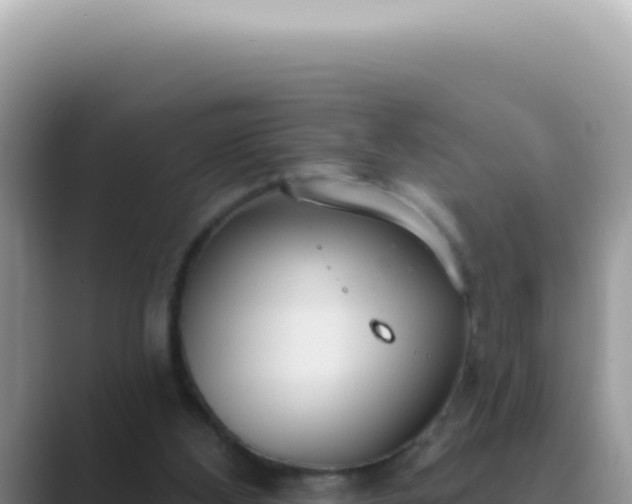 X0000089860108200707051140