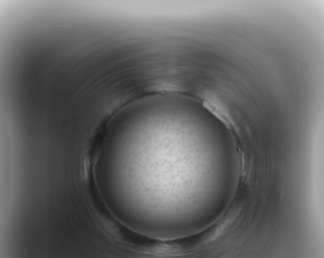 X0000089860109200707051140