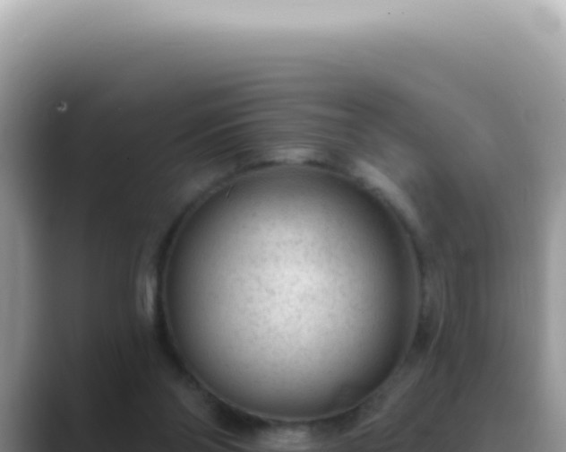 X0000089860110200707051140