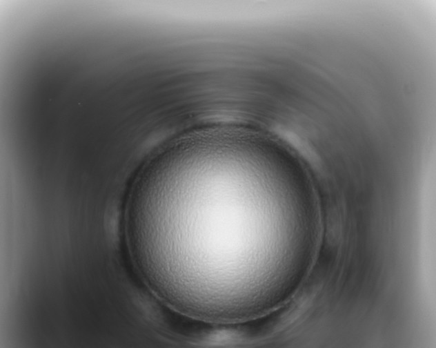 X0000089860111200707051140