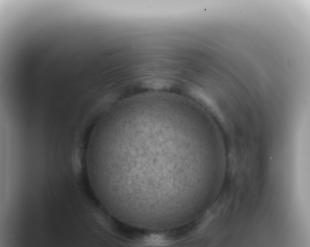 X0000089860114200707051140