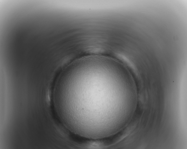 X0000089860115200707051140