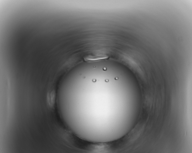 X0000089860118200707051140