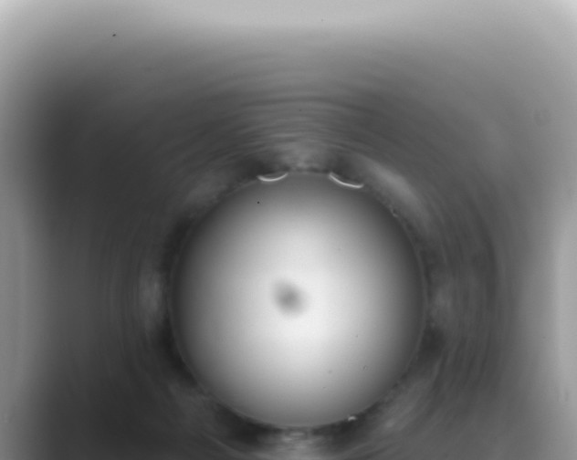 X0000089860121200707051140