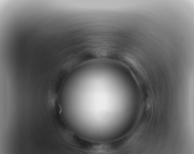 X0000089860125200707051140