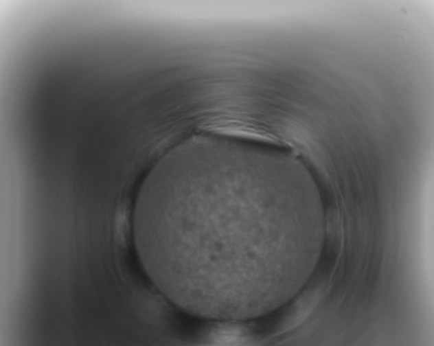 X0000089860127200707051140