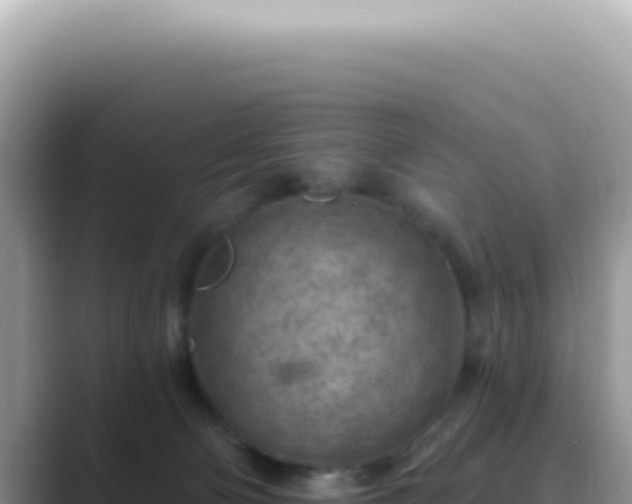 X0000089860130200707051140