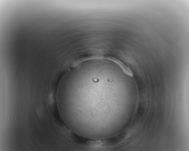 X0000089860131200707051140