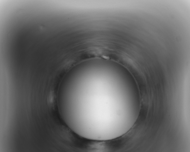 X0000089860132200707051140