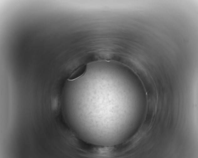 X0000089860134200707051140