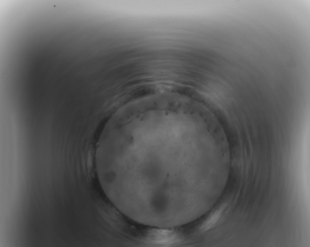 X0000089860139200707051140