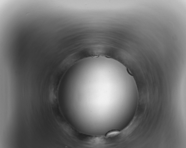 X0000089860140200707051140