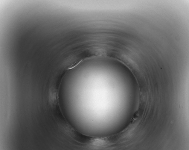 X0000089860141200707051140