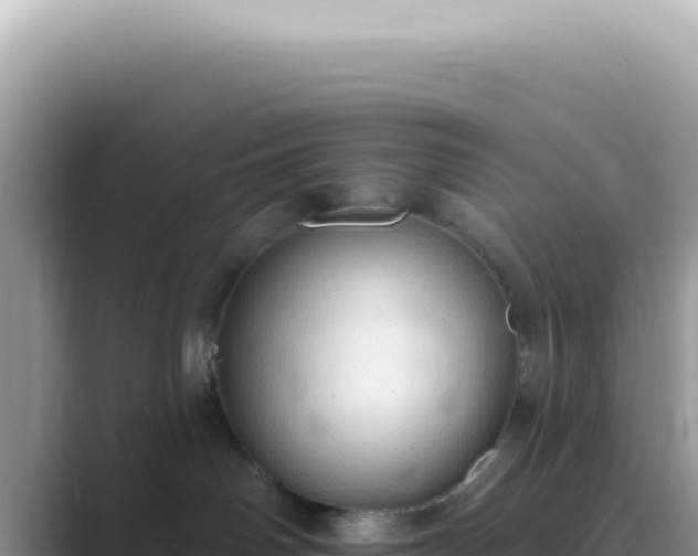 X0000089860142200707051140