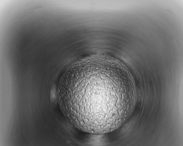 X0000089860143200707051140
