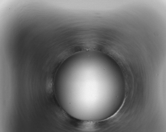 X0000089860144200707051140