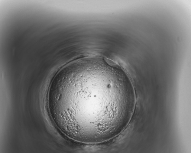 X0000089860145200707051139