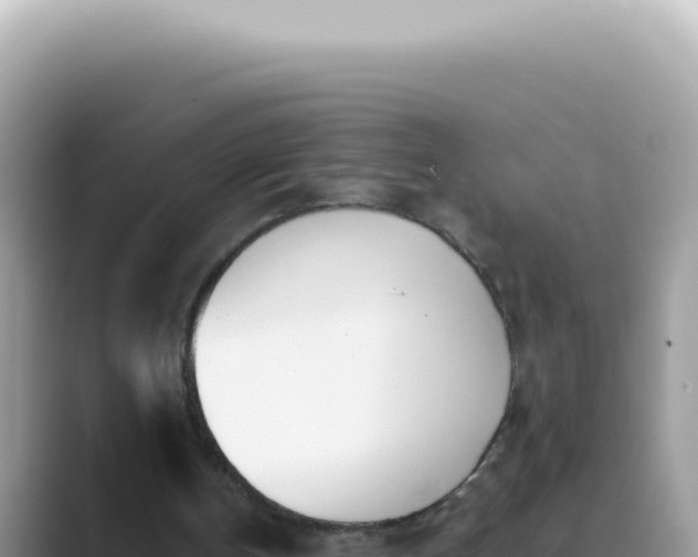 X0000089860146200707051139