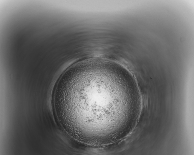 X0000089860147200707051139