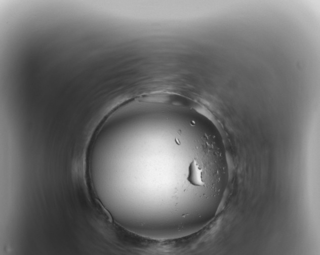 X0000089860148200707051139