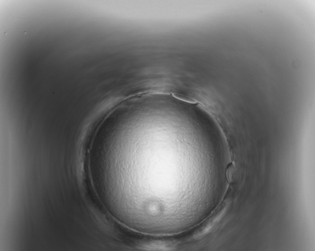 X0000089860149200707051139