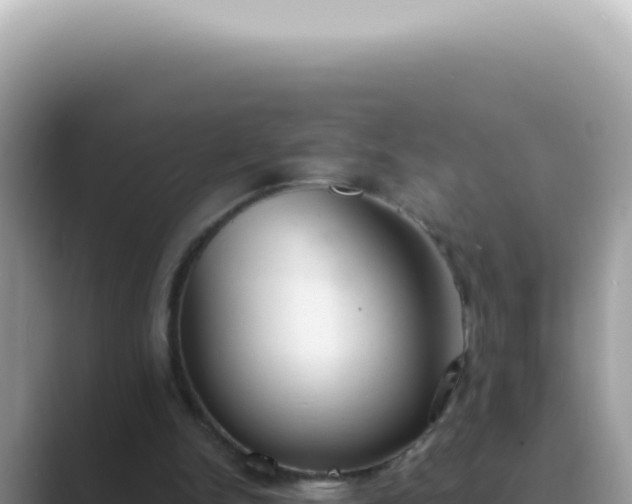 X0000089860150200707051139