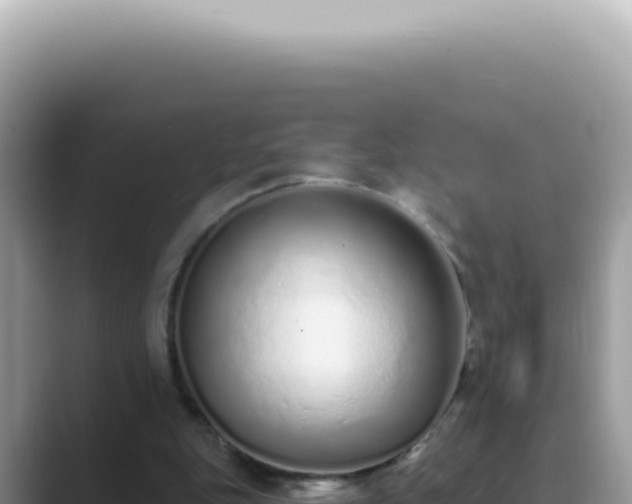 X0000089860151200707051139