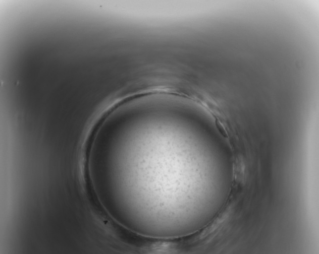 X0000089860152200707051139
