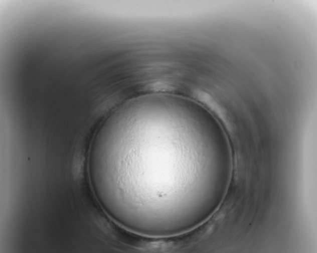 X0000089860153200707051139