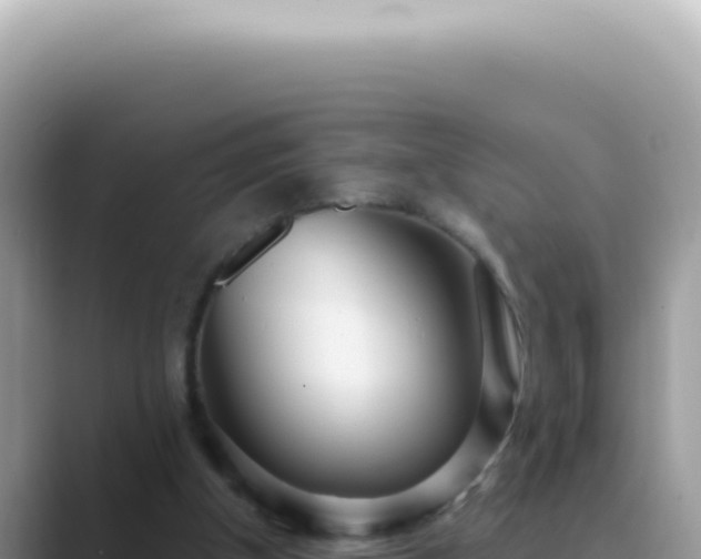 X0000089860154200707051139