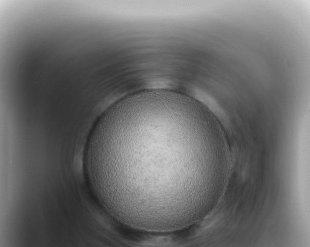 X0000089860155200707051139