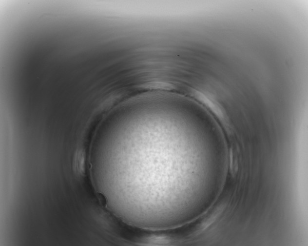 X0000089860157200707051139
