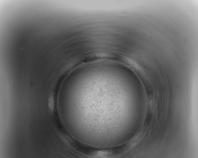 X0000089860158200707051139