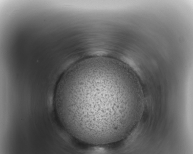X0000089860159200707051139
