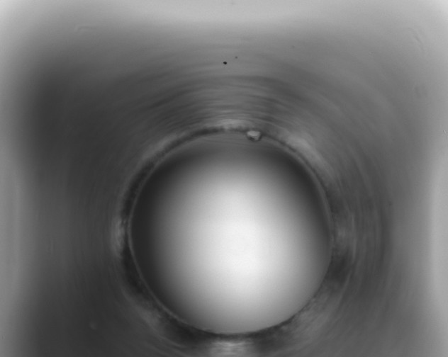 X0000089860160200707051139